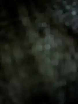 Stripchat Watch Live Sex Cams of Mr_hottie_21