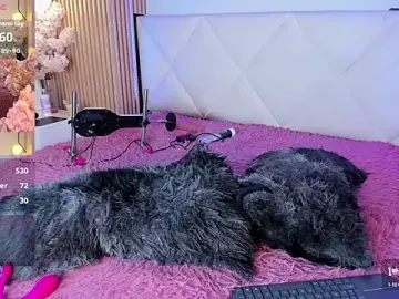 Stripchat Best Webcam of veronica_hill_