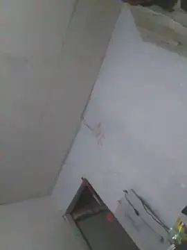 Stripchat Best Webcam of cobrosdepagos