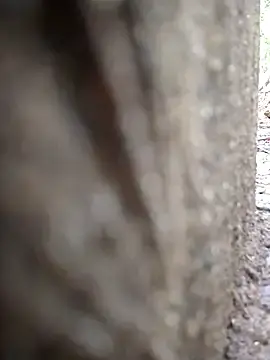 Stripchat Live Sex Cam of FeloBad