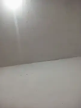 Stripchat Free Porn Cam of ambarlennoix