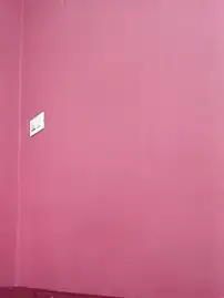 Stripchat Live Sex of SHREYAA_SHARMAA