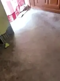 Stripchat Sex Cam of Lakhsmi