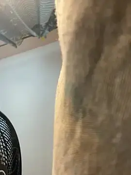 Stripchat Watch Live Sex Cams of JuicyJamaican