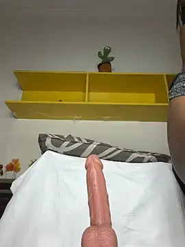 Stripchat Best Webcam of avnikaur