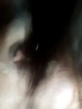 Stripchat Free Live Porn of Farisa-24