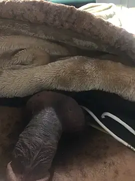 Stripchat Adult Video Chat of FuckBuddy_Raw