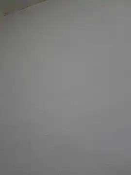 Stripchat Watch Live Sex Cams of 2BigBlacxxx