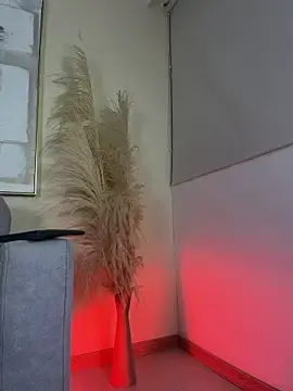 Stripchat Watch Live Sex Cams of PaulPhoenix_