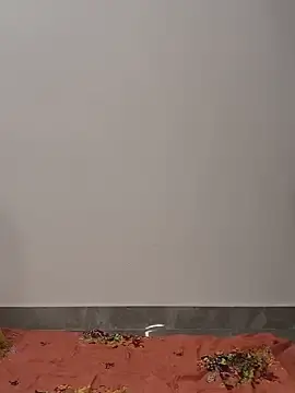 Stripchat Live Sex Cam of Family02