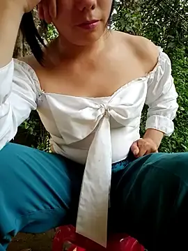 Stripchat Nude Webcam of vanvan005