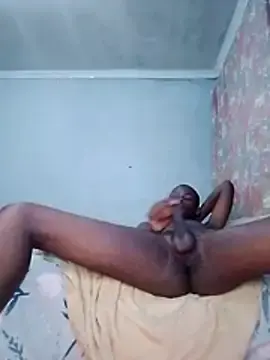 Stripchat Best Webcam of thando11100