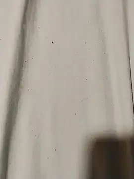 Stripchat Free Porn Cam of minitranca