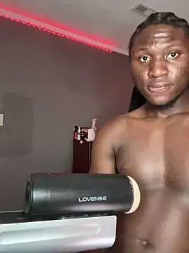 Stripchat Adult Webcam of Festivitiesking1