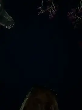 Stripchat Free Live Porn of blairbella