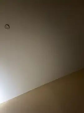 Stripchat Best Webcam of edwardhomp