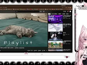 Stripchat Adult Video Chat of Fatis-Rin-Meow