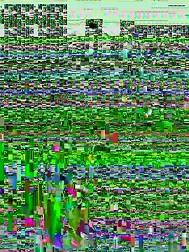 Stripchat Sex Cam of vily-wonka