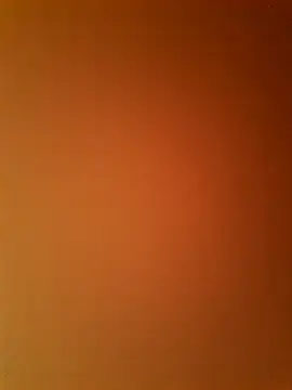 Stripchat Adult Webcams of Ridi_69_