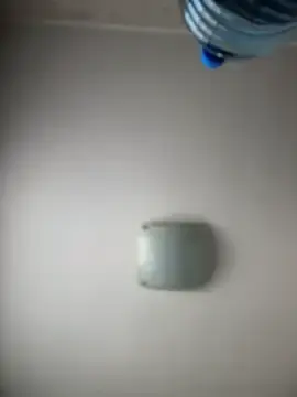 Stripchat Live Sex Cam of NikaMur